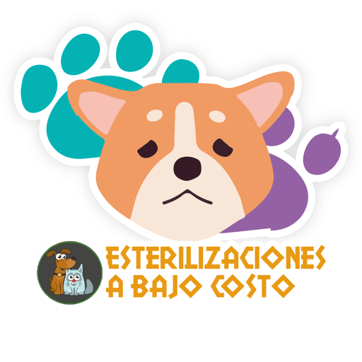 Esterilizacion Emojis  4