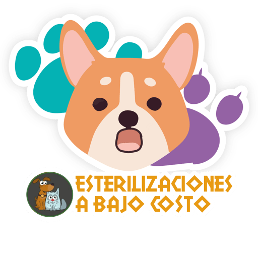 Esterilizacion Emojis  12