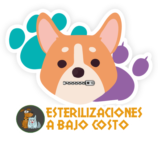 Esterilizacion Emojis  27