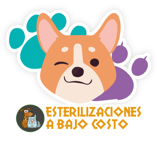 Esterilizacion Emojis  15