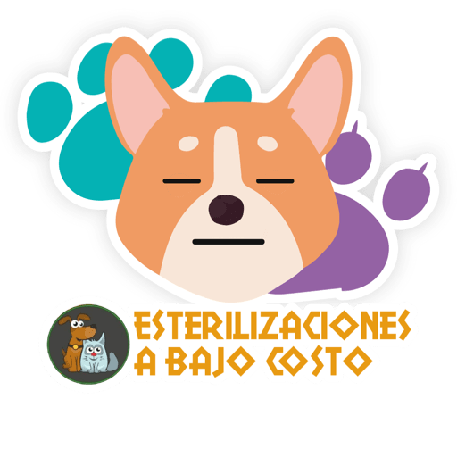 Esterilizacion Emojis  16