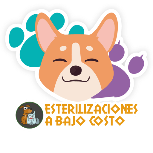 Esterilizacion Emojis  22