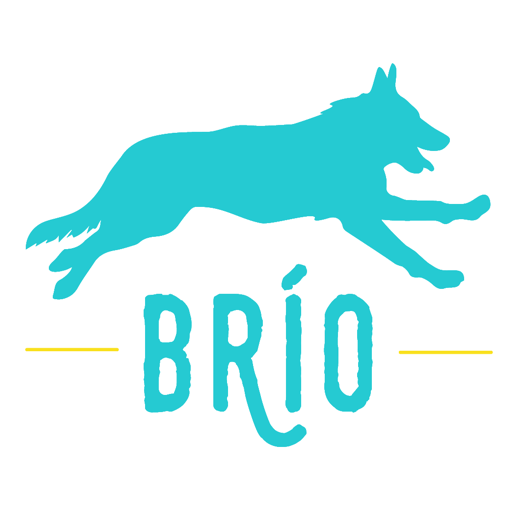 Brio frases 