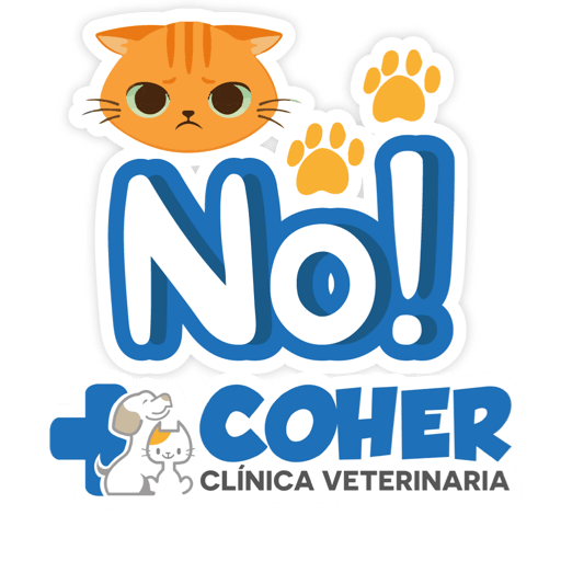 COHER Frases 15