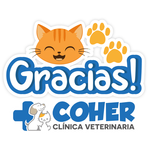 COHER Frases 6