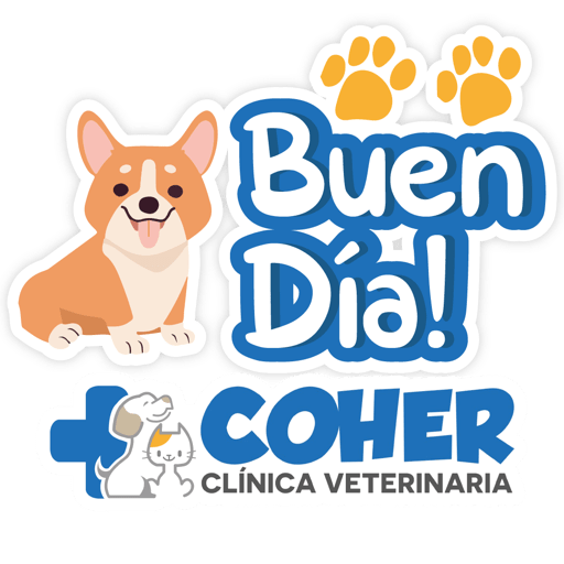 COHER Frases 3