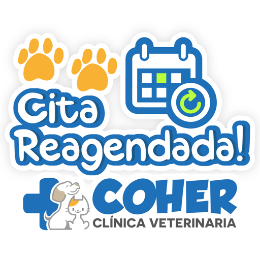 COHER Frases 23