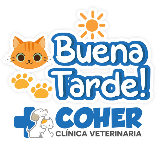 COHER Frases 4