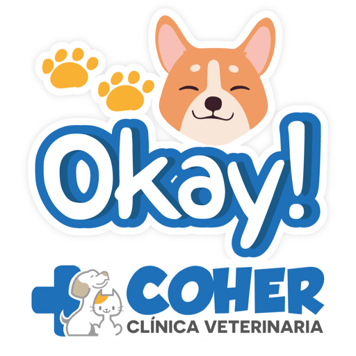 COHER Frases 10