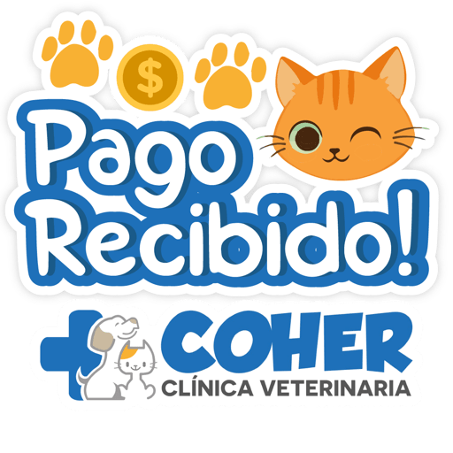 COHER Frases 20