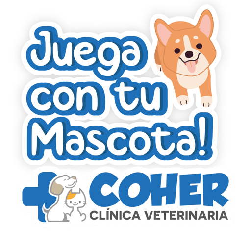 COHER Frases 26
