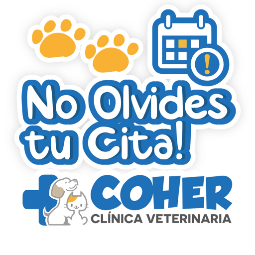COHER Frases 24