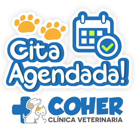 COHER Frases 21