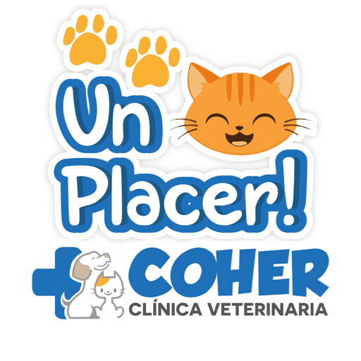 COHER Frases 16