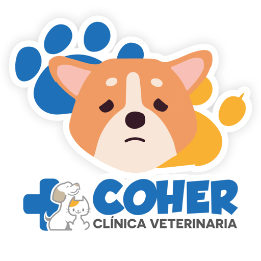 COHER Frases 30