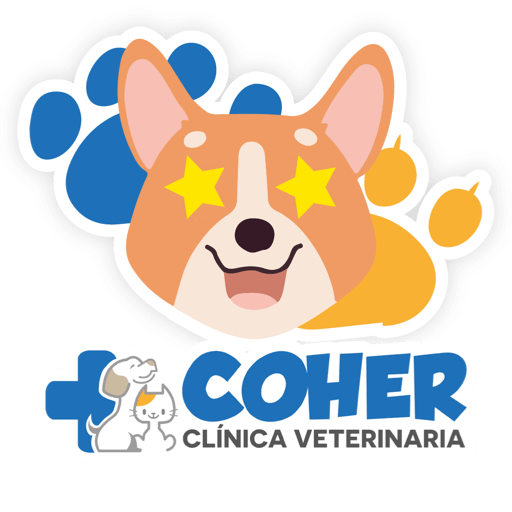 COHER Frases 29