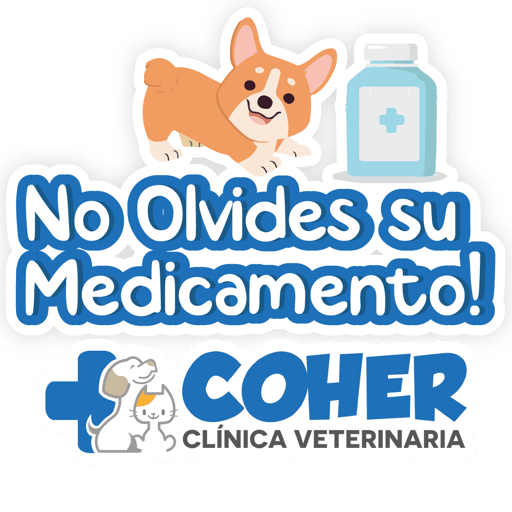 COHER Frases 28