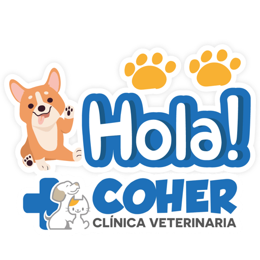 COHER Frases 2