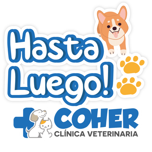 COHER Frases 12