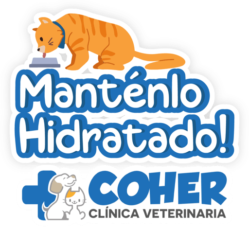 COHER Frases 27