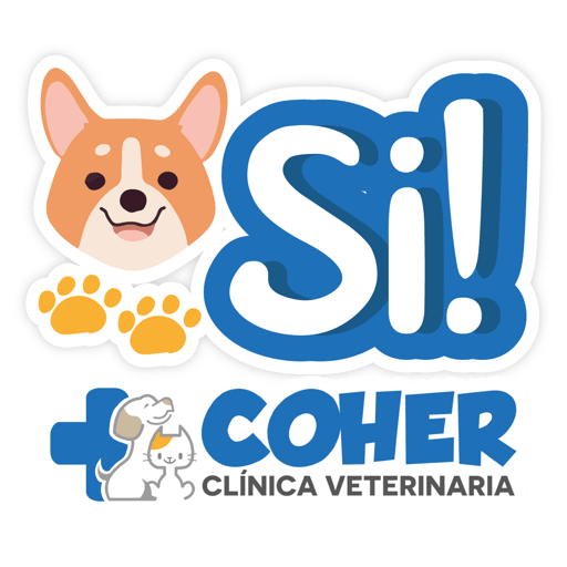 COHER Frases 14