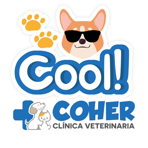 COHER Frases 8