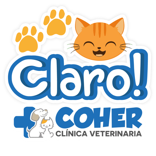 COHER Frases 11