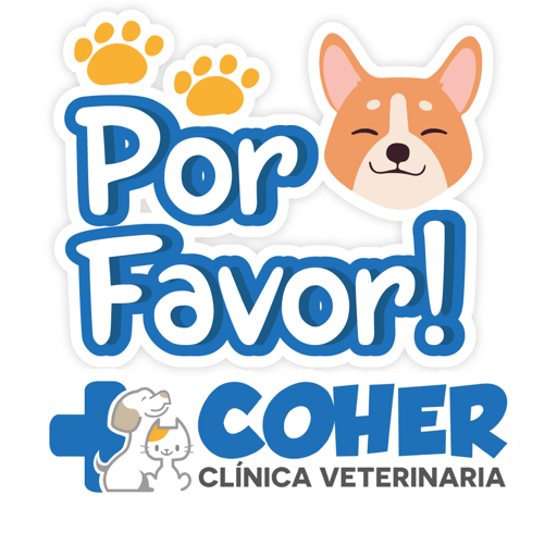COHER Frases 17