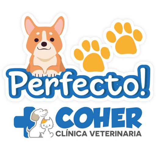 COHER Frases 7