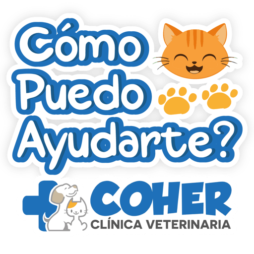 COHER Frases 25
