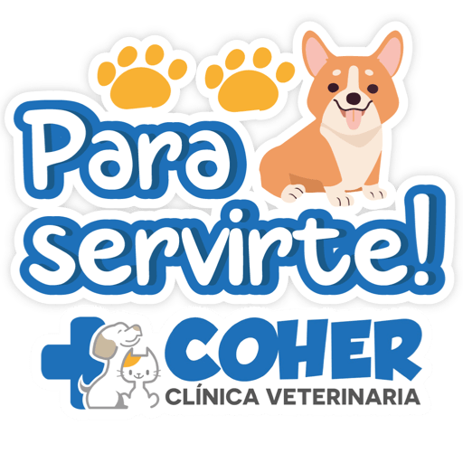 COHER Frases 19