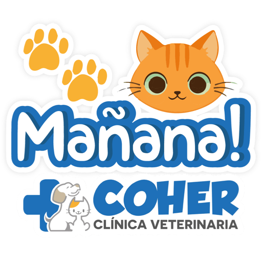 COHER Frases 13