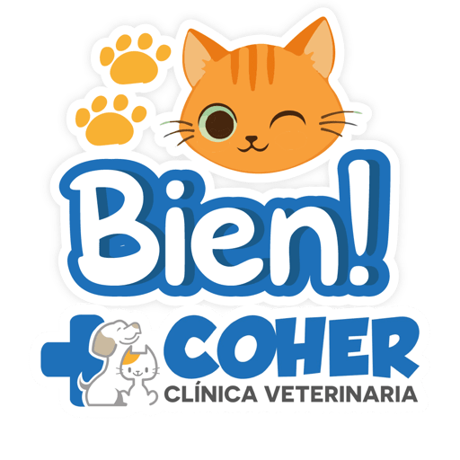 COHER Frases 9
