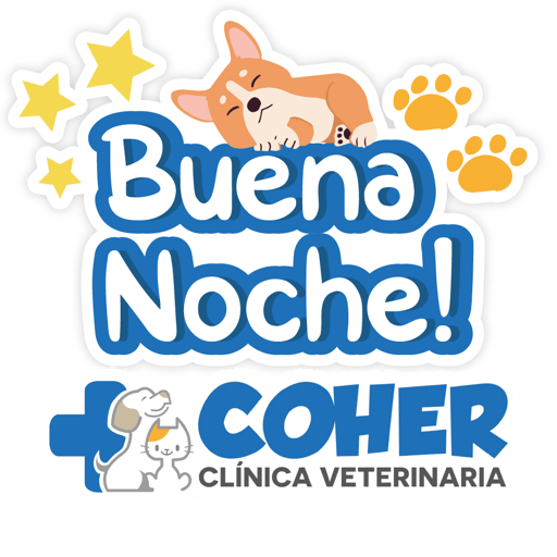 COHER Frases 5