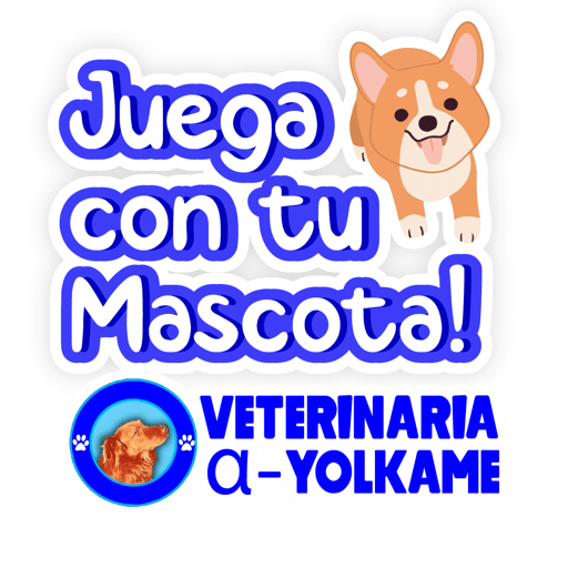 Yolkame Frases 26