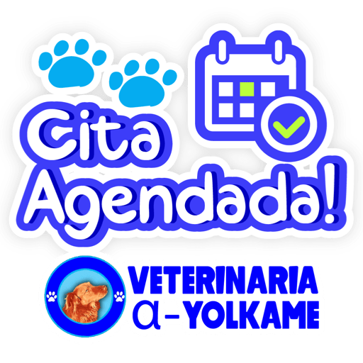 Yolkame Frases 21