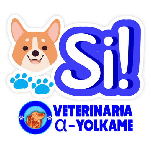 Yolkame Frases 14