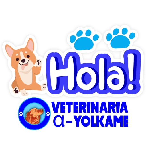 Yolkame Frases 2