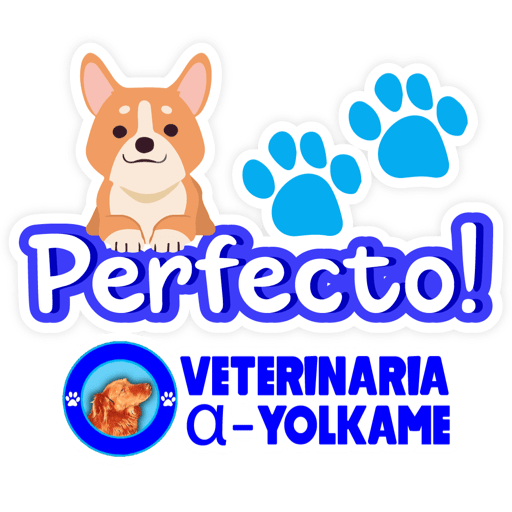 Yolkame Frases 7