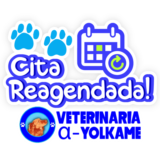 Yolkame Frases 23