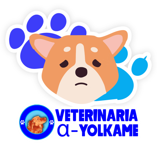 Yolkame Frases 30
