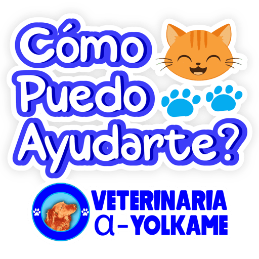 Yolkame Frases 25