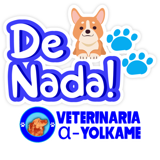 Yolkame Frases 18