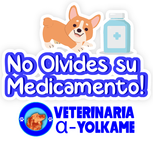 Yolkame Frases 28