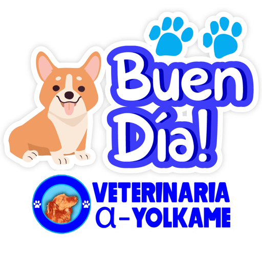 Yolkame Frases 3