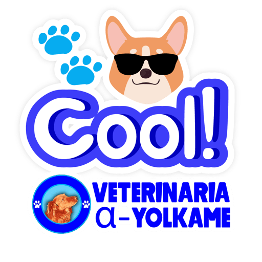 Yolkame Frases 8