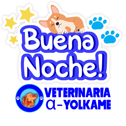 Yolkame Frases 5