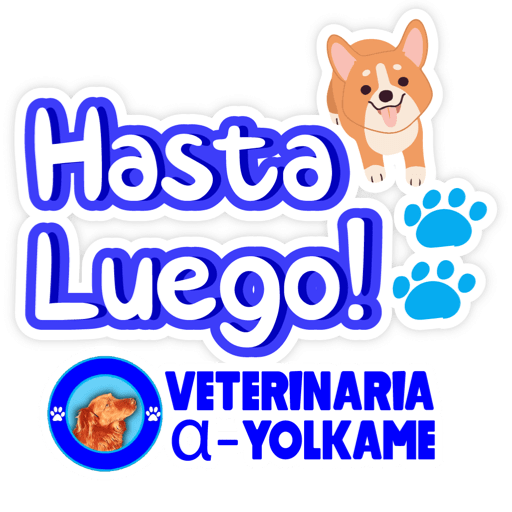 Yolkame Frases 12