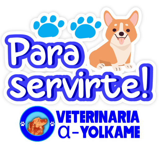 Yolkame Frases 20