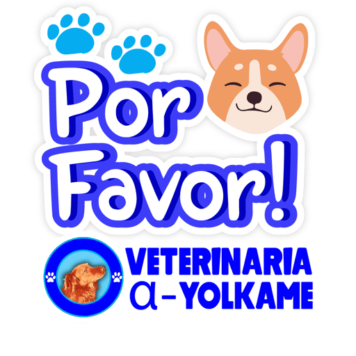 Yolkame Frases 17